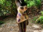 IMG-20260510-WA0007